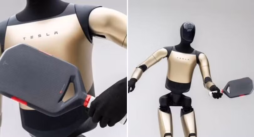 Tesla đã thắng lớn khi tung ra vợt pickleball giá đắt. Ảnh: LTN.