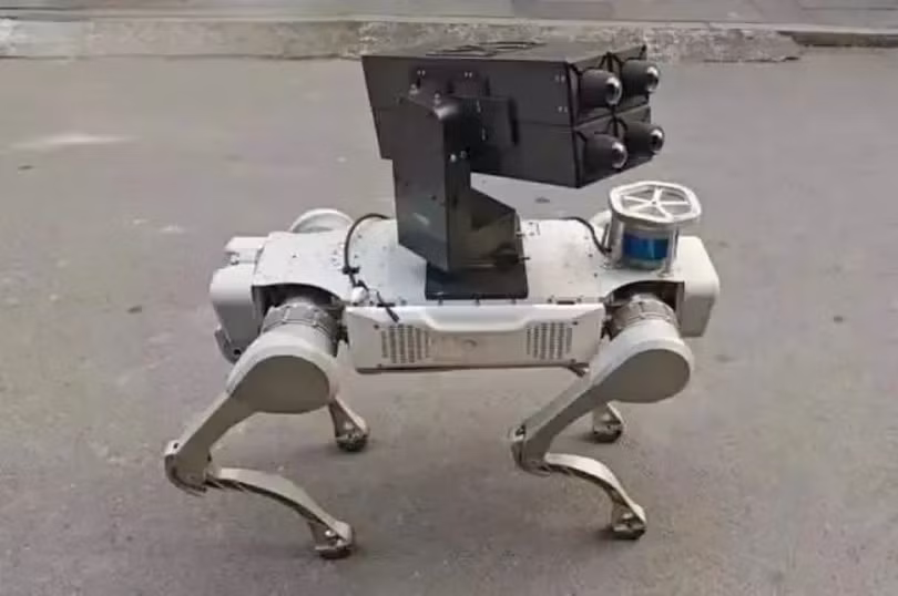 cho-mang-4-ten-lua.jpg