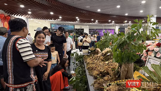 Ông Hồ Quang Bửu, Phó Chủ tịch UBND TP Đà Nẵng phát biểu khai mạc Lễ hội Sâm Ngọc Linh và Dược liệu quốc tế Đà Nẵng 2026. Ảnh Xuân Mai.