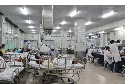 2 người tử vong sau khi uống rượu ngâm, Bộ Y tế yêu cầu truy nguồn khẩn