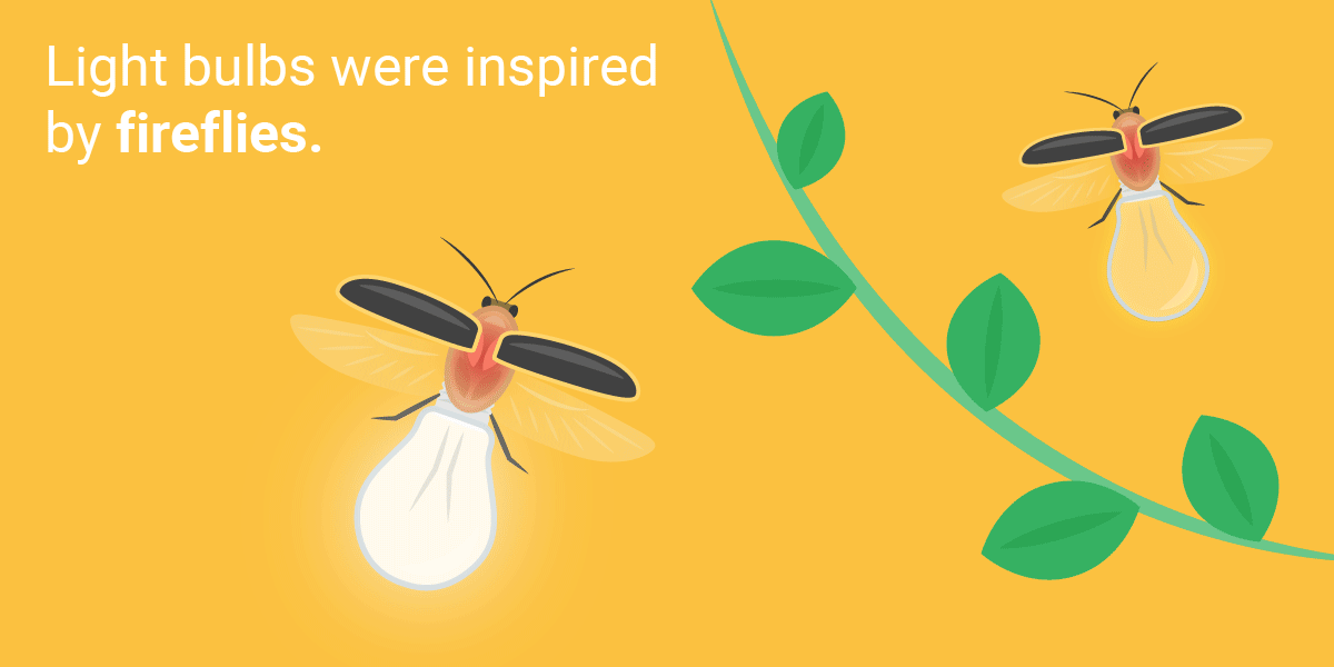 Những phát minh tuyệt vời loài người học lỏm từ thiên nhiên ảnh 11 Những phát minh tuyệt vời loài người học lỏm từ thiên nhiên ảnh 11