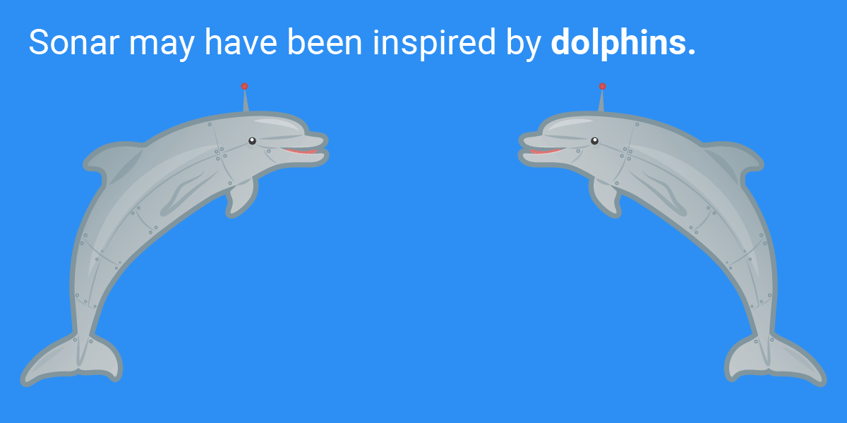 Những phát minh tuyệt vời loài người học lỏm từ thiên nhiên ảnh 3 Những phát minh tuyệt vời loài người học lỏm từ thiên nhiên ảnh 3