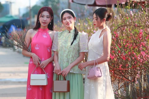 Nghỉ Tết Bính Ngọ 9 ngày, thời tiết 3 miền diễn biến ra sao?