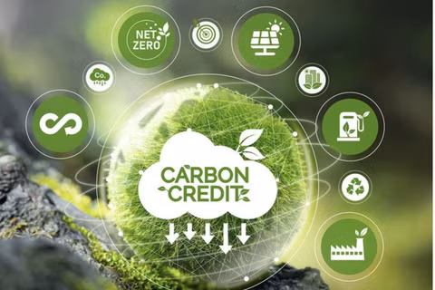Chính thức khai trương Sàn giao dịch carbon trong nước