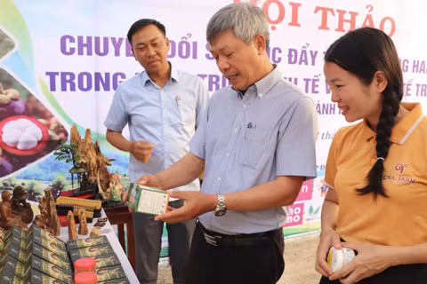 Ông Hồ Quang Bửu, Phó Chủ tịch UBND TP Đà Nẵng tham quan không gian trưng bày các sản phẩm kinh tế vườn tại hội thảo. Ảnh TĐ.