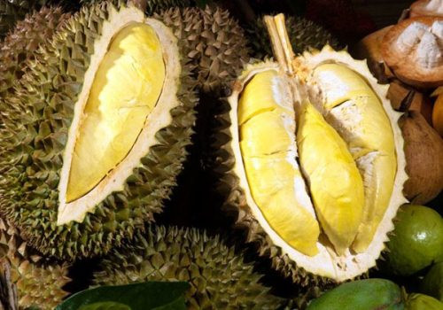 Nguồn: Bright Side