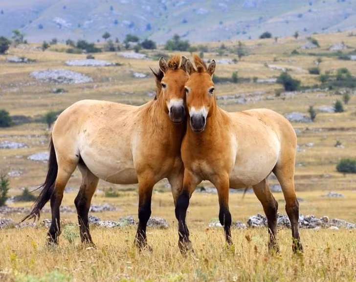 Nguồn: Bright Side