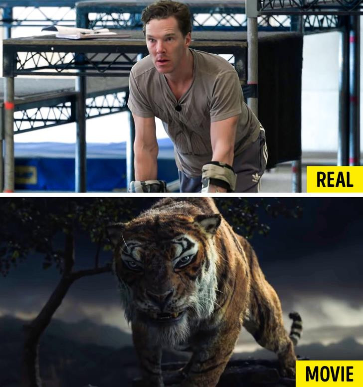 Nguồn: Bright Side