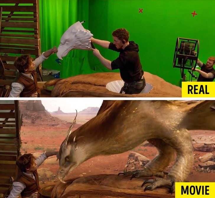 Nguồn: Bright Side