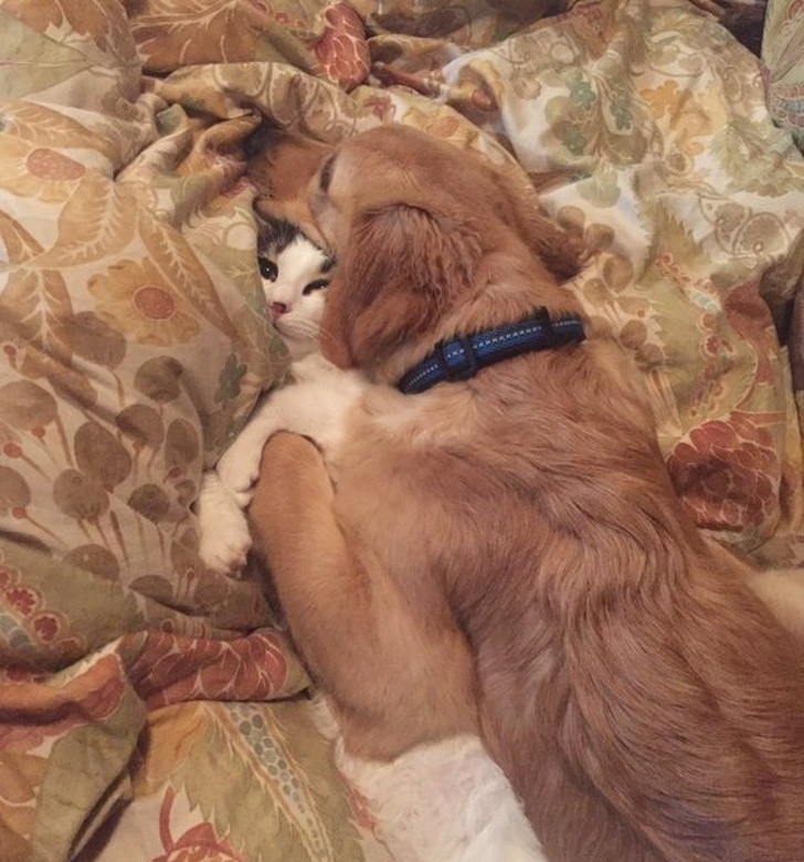 Nguồn: Bright Side