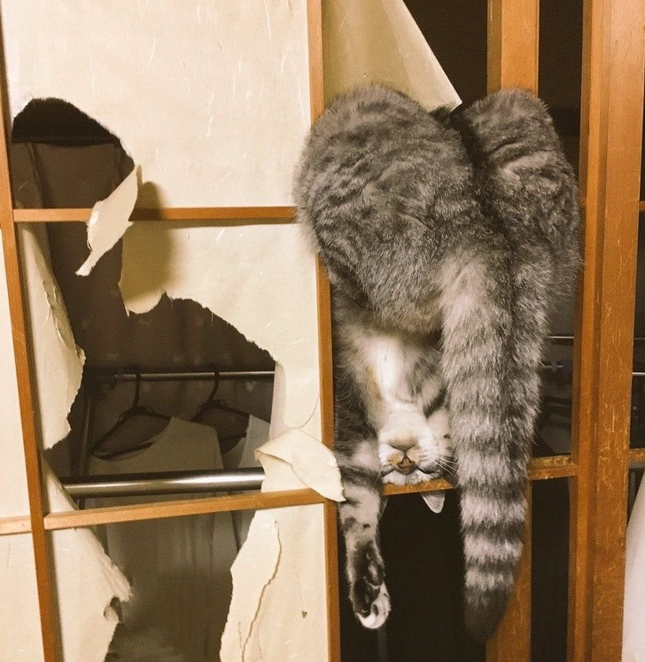 Nguồn: Bright Side