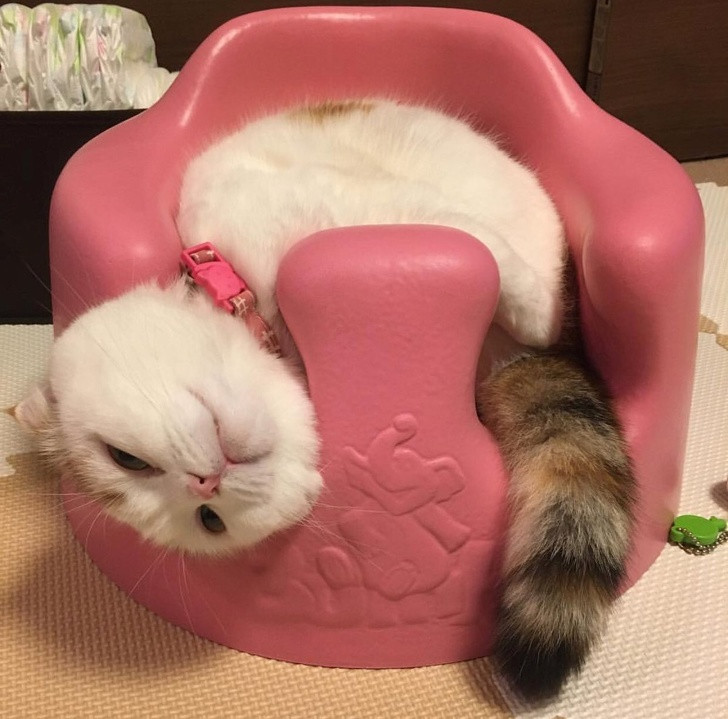 Nguồn: Bright Side