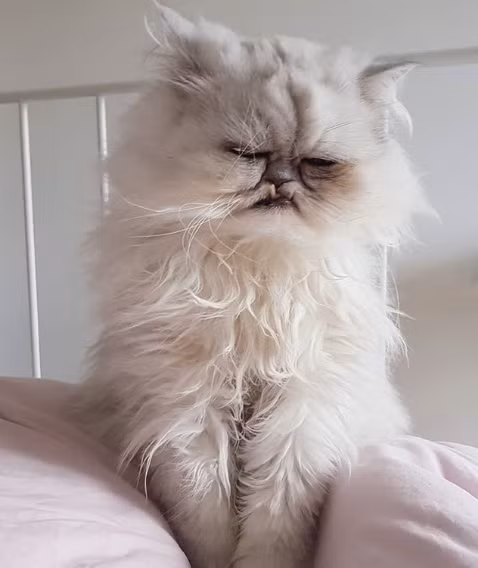 Nguồn: Bright Side Nguồn: Bright Side