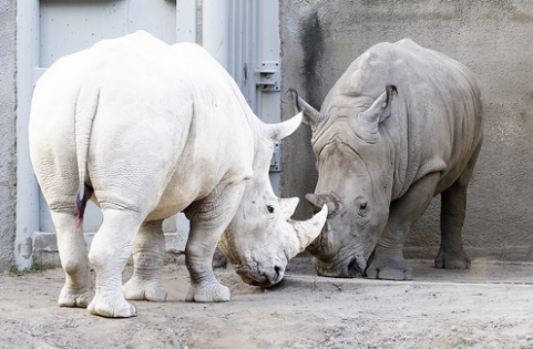 Nguồn: Bright Side Nguồn: Bright Side