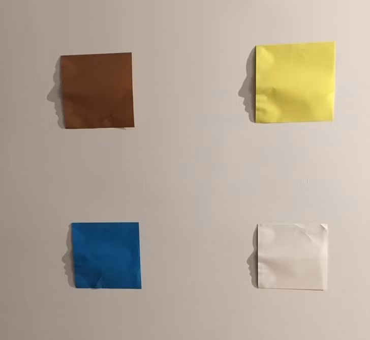 Nguồn: Bright Side