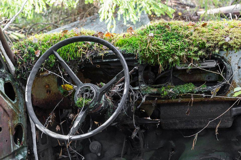 Nguồn: Bright Side