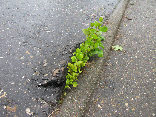 Nguồn: Bright Side