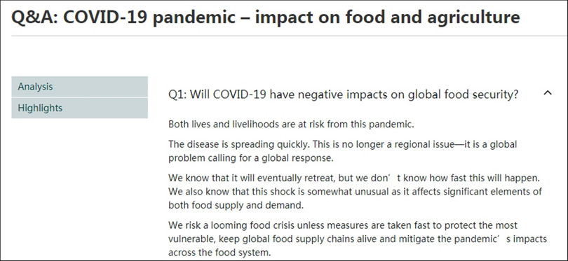 Trang web của FAO cảnh báo về nguy cơ khủng hoảng lương thực sắp tới (Ảnh: Guancha).