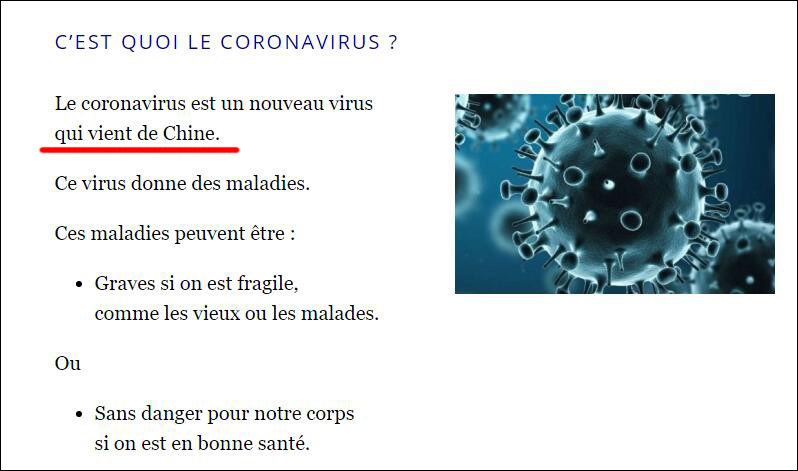 Trang web của Chính phủ Pháp ghi rõ “virus Corona mới là một loại virus bắt nguồn từ Trung Quốc” (Ảnh: Guancha)