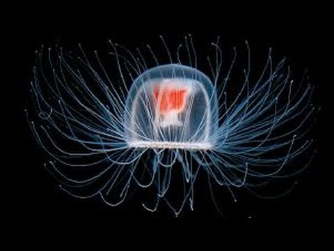 Ảnh minh họa Ảnh minh họa