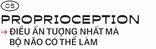 Giải mã những bí ẩn về proprioception, giác quan thứ sáu của tất cả chúng ta - Ảnh 11.