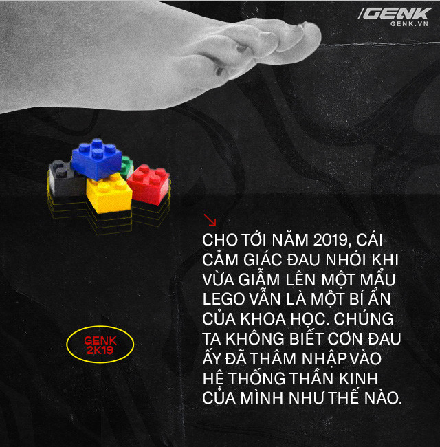 Giải mã những bí ẩn về proprioception, giác quan thứ sáu của tất cả chúng ta - Ảnh 8.