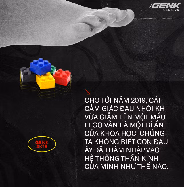 Giải mã những bí ẩn về proprioception, giác quan thứ sáu của tất cả chúng ta - Ảnh 8.