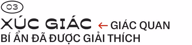Giải mã những bí ẩn về proprioception, giác quan thứ sáu của tất cả chúng ta - Ảnh 6.