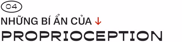 Giải mã những bí ẩn về proprioception, giác quan thứ sáu của tất cả chúng ta - Ảnh 9.
