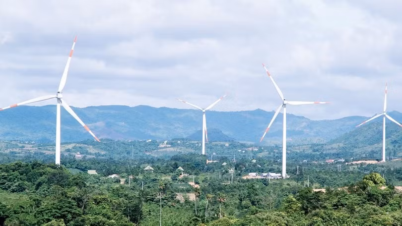 Ảnh minh họa (Nguồn: IPA Quảng Trị)