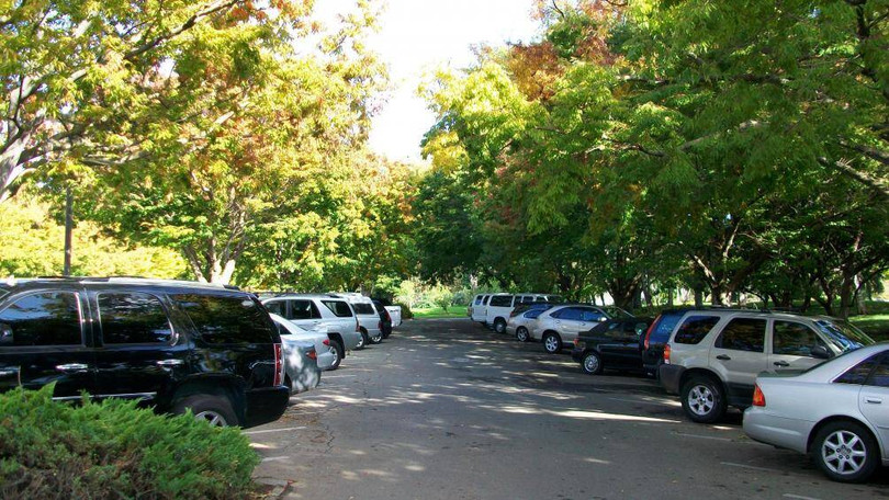 Khi trời nắng, nhất là vào mùa hè, tài xế hãy tìm một bóng râm để cho chiếc xe của mình được đậu ở đó