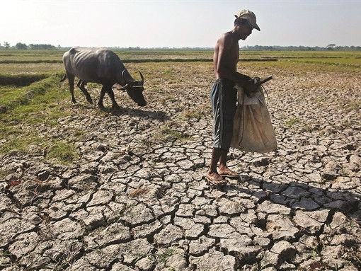 Trong hai năm trở lại đây, Đồng bằng sông Cửu Long phải hứng chịu những đợt hạn hán khốc liệt. Ảnh: Bloomberg.
