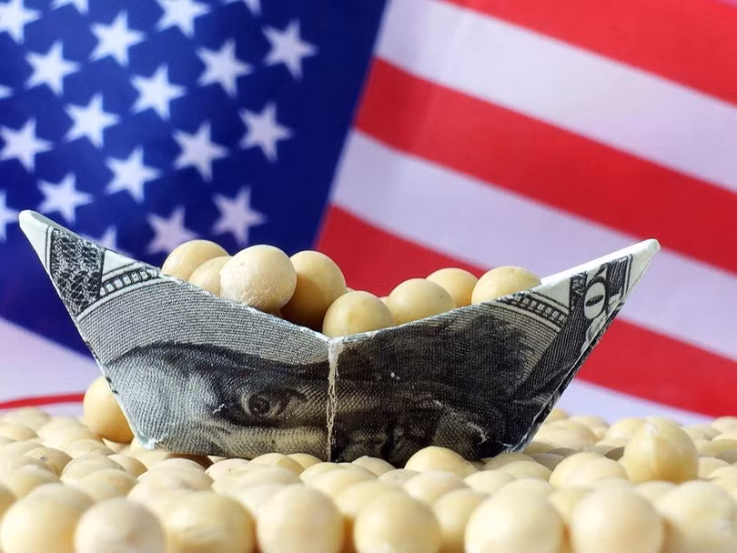 Đậu tương là loại nông sản được chính phủ Mỹ trợ cấp nhiều nhất trong kế hoạch hỗ trợ nông dân lần này Đậu tương là loại nông sản được chính phủ Mỹ trợ cấp nhiều nhất trong kế hoạch hỗ trợ nông dân lần này