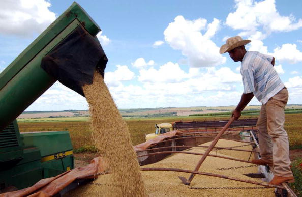 Nông dân trồng đậu tương là những người thiệt hại lớn nhất trong cuộc chiến thương mại Mỹ - Trung Nông dân trồng đậu tương là những người thiệt hại lớn nhất trong cuộc chiến thương mại Mỹ - Trung