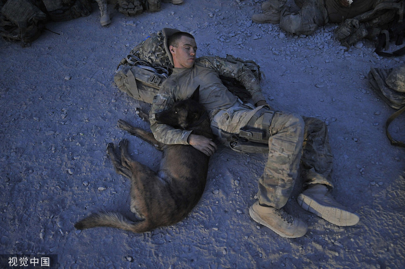 Lính đặc nhiệm Mỹ và quân khuyển nghỉ ngơi trên chiến trường Lính đặc nhiệm Mỹ và quân khuyển nghỉ ngơi trên chiến trường