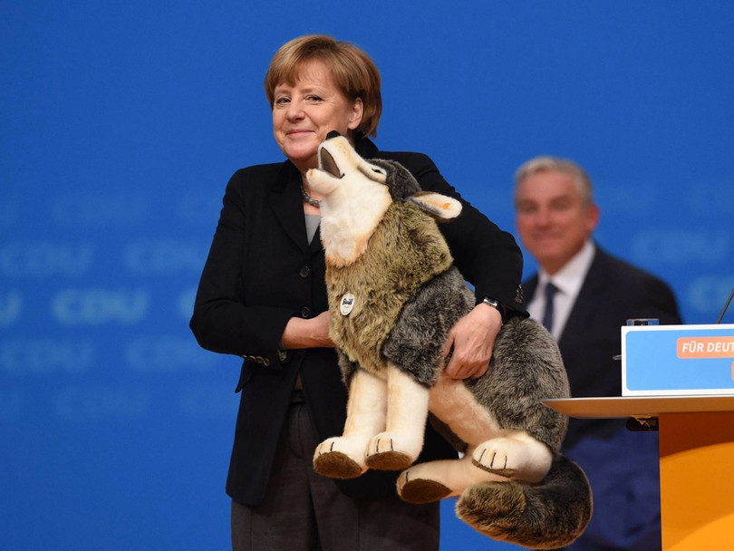 Ngày 14 tháng 12 năm 2015, Thủ tướng Đức Angela Merkel đã tham dự cuộc họp của Đảng Dân chủ Thiên chúa giáo ở Karlsruhe, Đức. Tại đây, bà Merkel đã nhận được món quà là một con chó đồ chơi.