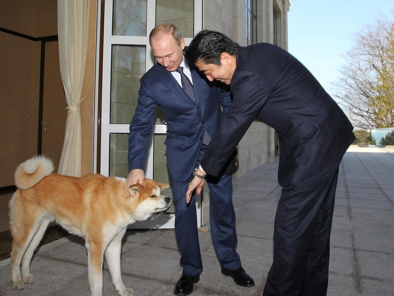 Ngày 8 tháng 2 năm 2014, Tổng thống Nga Putin dẫn theo chú chó yêu Yume của ông khi gặp gỡ Thủ tướng Nhật Bản Shinzo Abe đến thăm Nga. Yume là một món quà ông Abe tặng ông Putin khi ông đến thăm Nga vào tháng 7 năm 2012. Nó là một con chó giống Akita. Tên của nó có nghĩa là “giấc mơ”. Khi Yume được mang tặng nó mới 3 tháng tuổi, bây giờ nó đã gần hai tuổi.