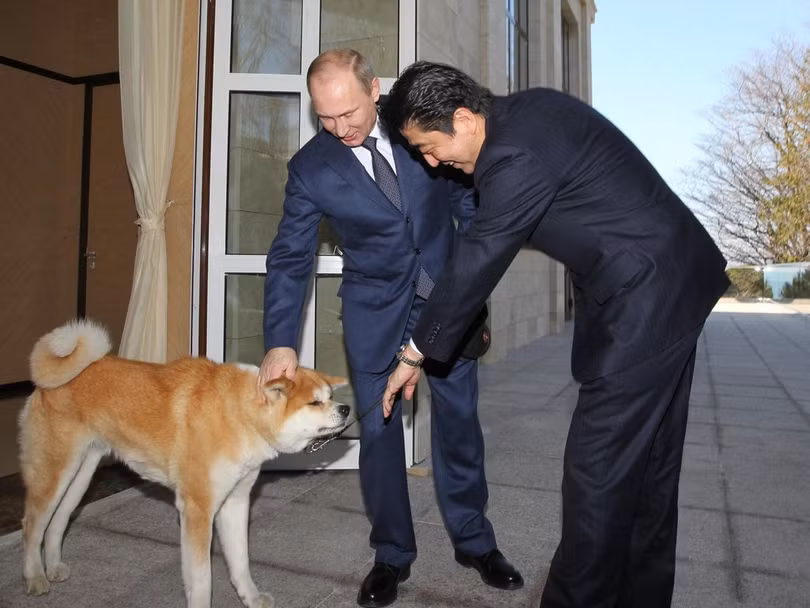 Ngày 8 tháng 2 năm 2014, Tổng thống Nga Putin dẫn theo chú chó yêu Yume của ông khi gặp gỡ Thủ tướng Nhật Bản Shinzo Abe đến thăm Nga. Yume là một món quà ông Abe tặng ông Putin khi ông đến thăm Nga vào tháng 7 năm 2012. Nó là một con chó giống Akita. Tên của nó có nghĩa là “giấc mơ”. Khi Yume được mang tặng nó mới 3 tháng tuổi, bây giờ nó đã gần hai tuổi.