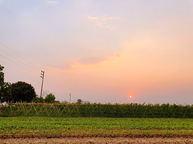 Ảnh thu được từ gợi ý của Galaxy S10 Plus sẽ khó có điểm nào để chê.