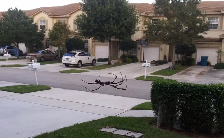 15 hình ảnh đánh lừa thị giác một cách ngoạn mục ảnh 11