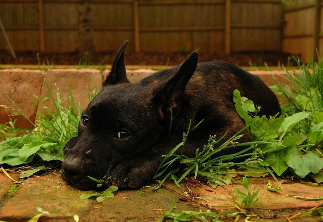 Đừng bỏ lỡ những trải nghiệm quý giá này khi bạn hãy còn thanh xuân! ảnh 5