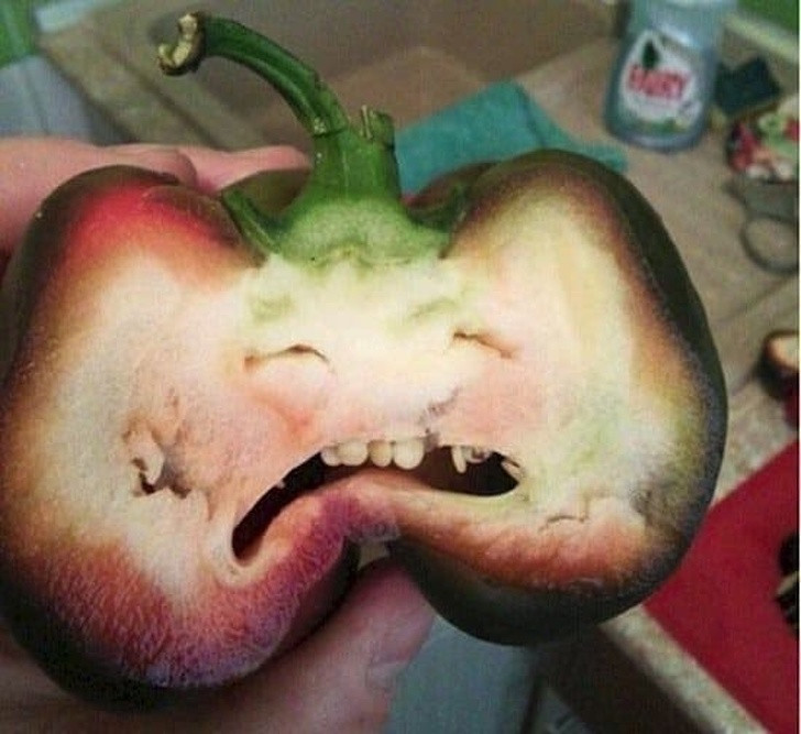 17 hình ảnh vui nhộn dễ gây hiểu lầm nhất ảnh 8