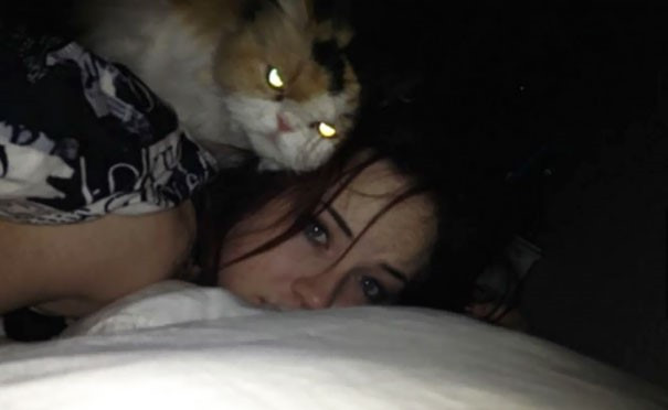 ChÃ¹m áº£nh chá»©ng minh lõA&nbsp;i mÃ¨o chÃ­nh lÃ&nbsp; hía»n thÃ¢n cá»§a... quá»· dá»¯! - áº¢nh 8.