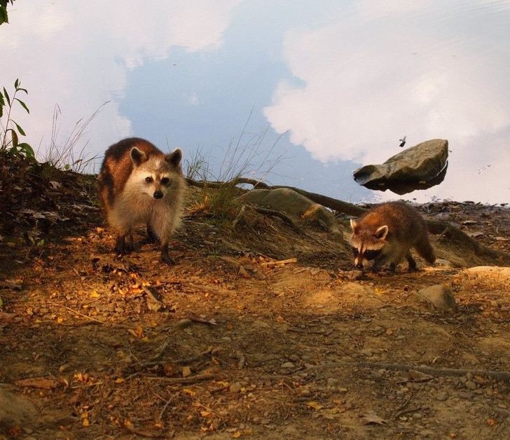 15 hình ảnh đánh lừa thị giác một cách ngoạn mục ảnh 13 15 hình ảnh đánh lừa thị giác một cách ngoạn mục ảnh 13