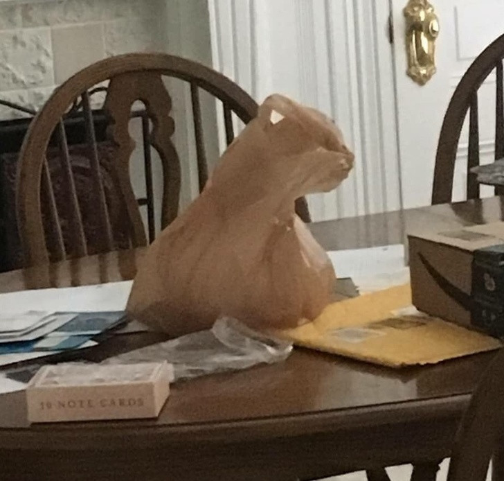 15 hình ảnh đánh lừa thị giác một cách ngoạn mục ảnh 5 15 hình ảnh đánh lừa thị giác một cách ngoạn mục ảnh 5