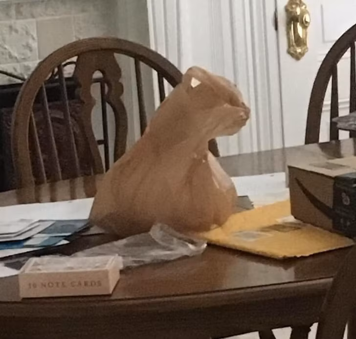 15 hình ảnh đánh lừa thị giác một cách ngoạn mục ảnh 5