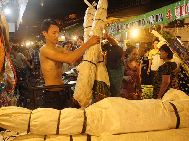 Lay ơn, được bó thành từng bó lớn, phân phối tận chân từng sạp hàng.