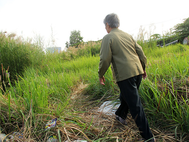 Mảnh đất đầy lau và cỏ dại um tùm, ngập rác này thuộc một phần thửa 55, tờ bản đồ số 20, bản đồ địa chính năm 2002, thuộc phường An Khánh, Q.2, vốn là nền căn nhà của bà Lê Thị Nga. Ảnh: GVT.