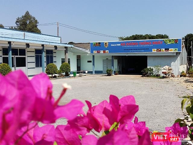 Một góc Công ty TNHH Ba Sương Thống Nhất bây giờ.