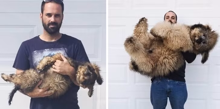 15 bức ảnh cảm động về quá trình trưởng thành của cún con ảnh 13